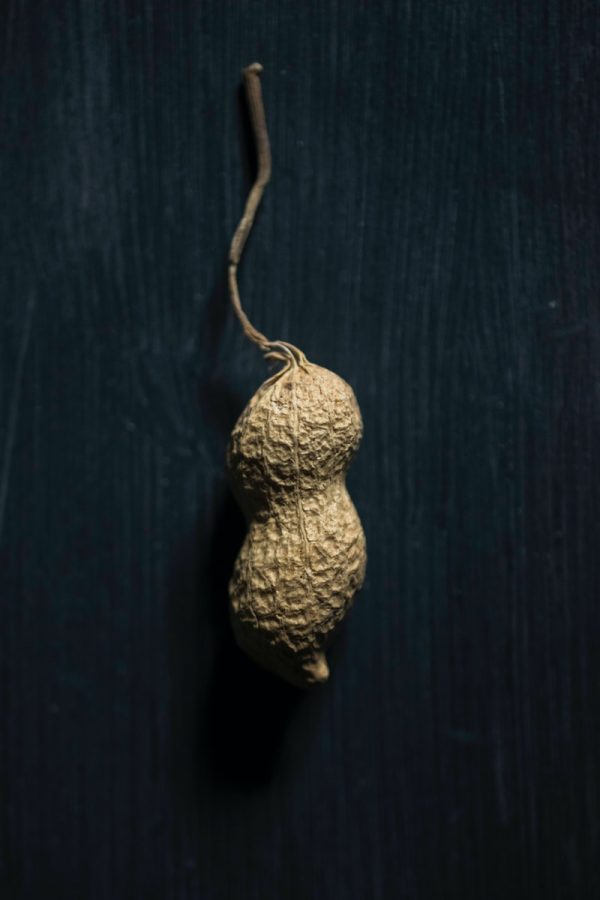 brown and white knitted ornament